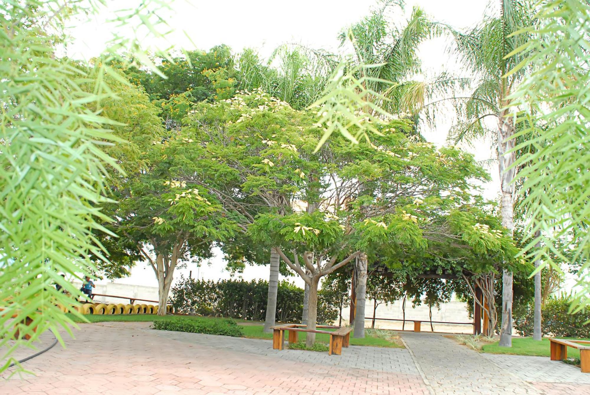 Hotel Flor Da Chapada Itaberaba Exteriér fotografie